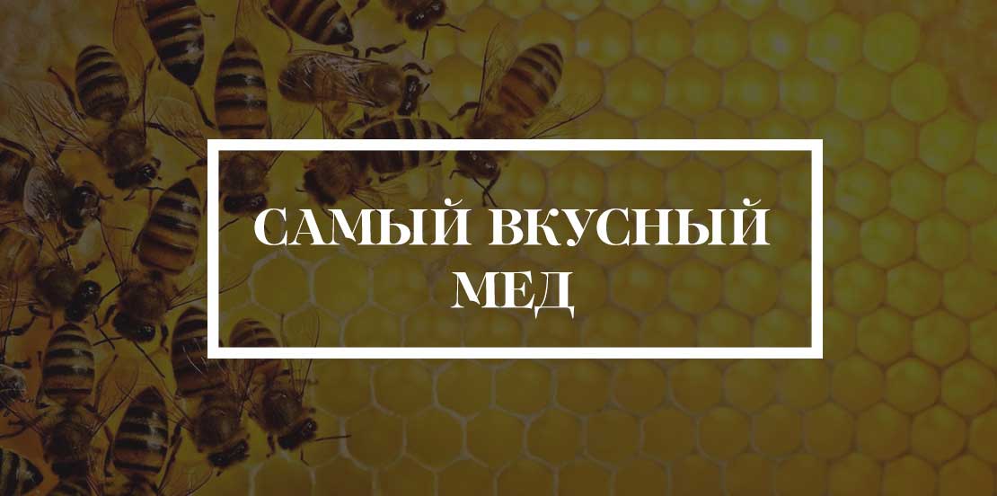 Дизайн буклетов BEEHIVE